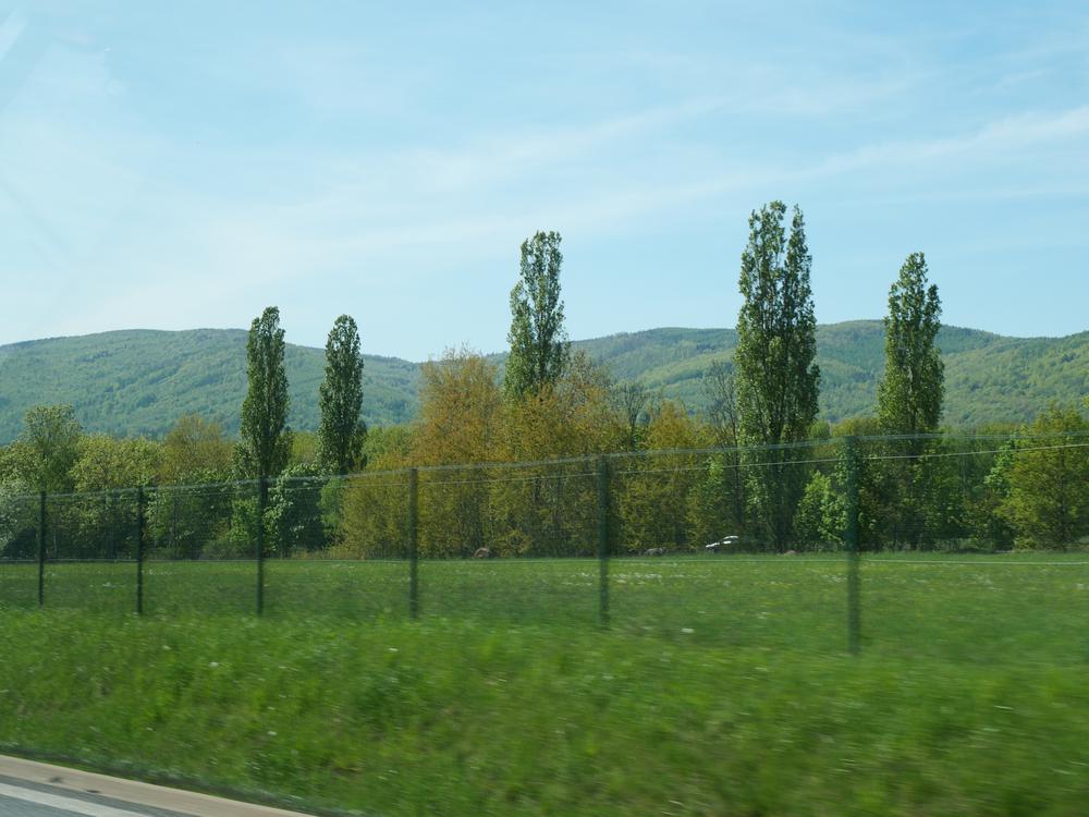 P1025261.JPG
