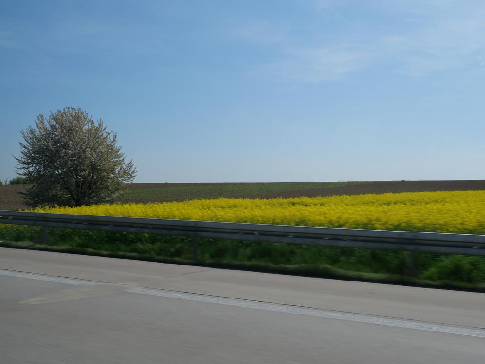 P1025223.JPG