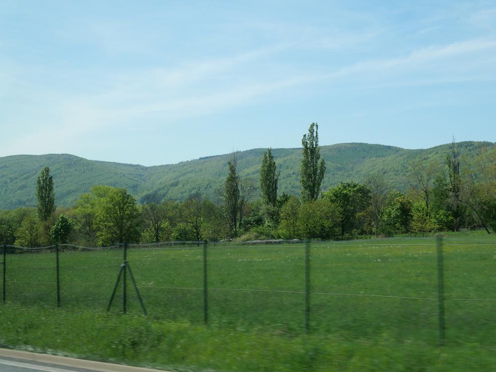 P1025259.JPG