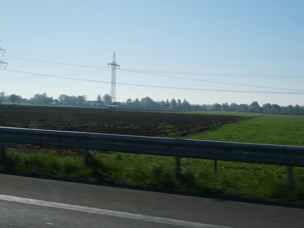 P1025195.JPG