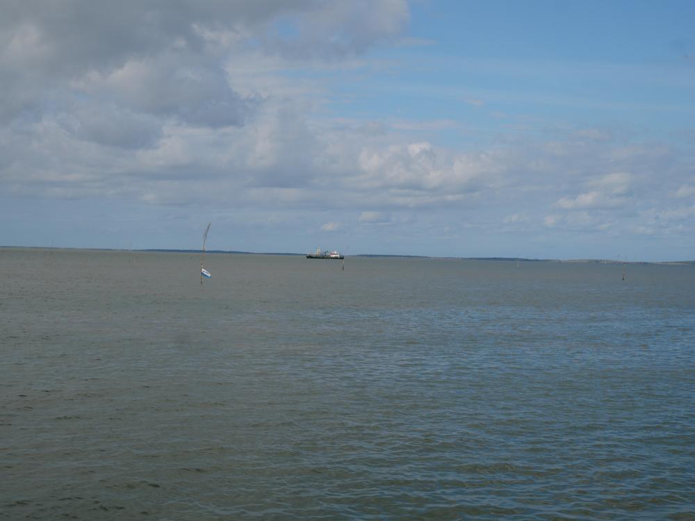P1071684.JPG