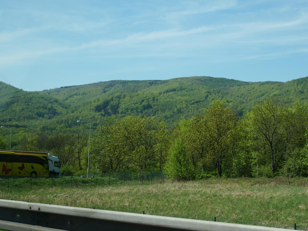 P1025270.JPG