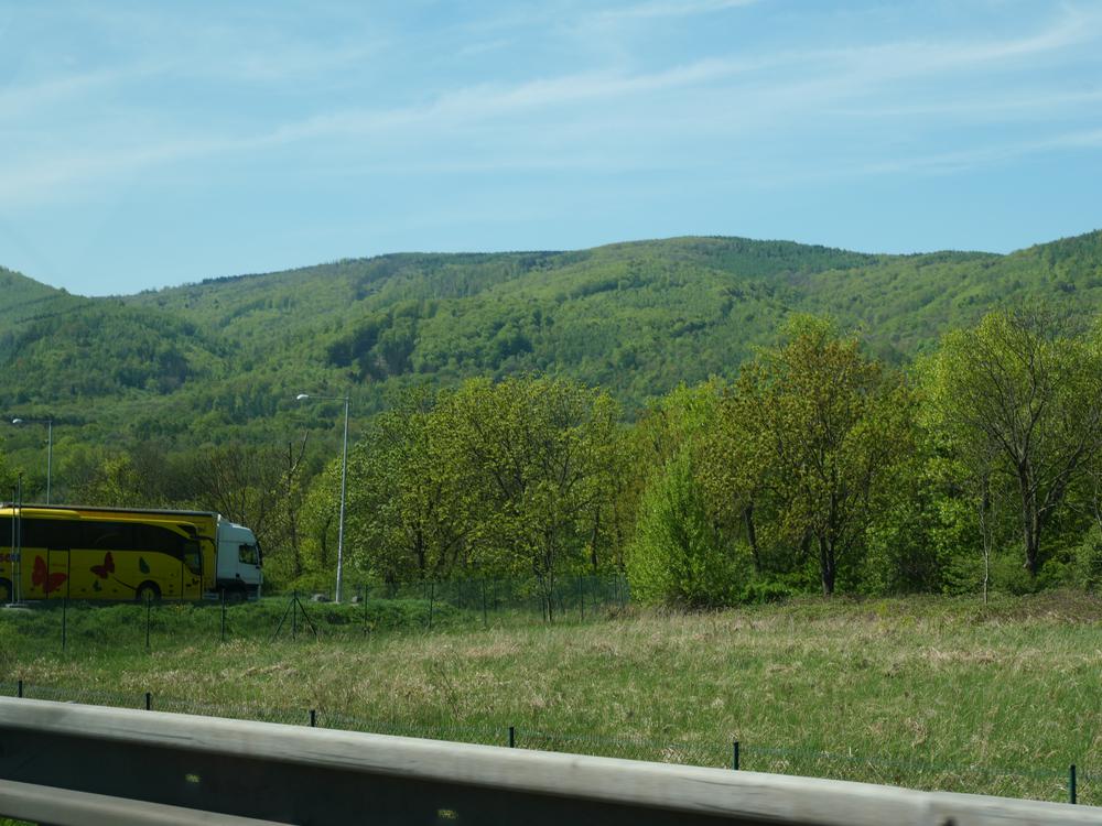 P1025272.JPG