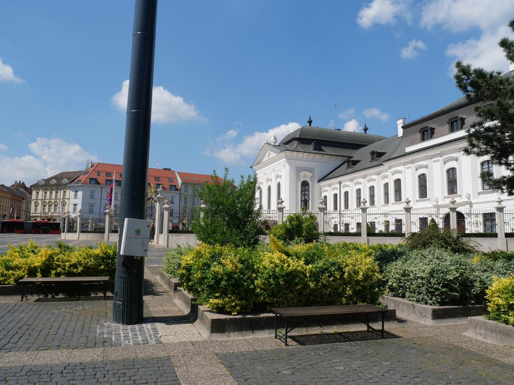 P1025493.JPG