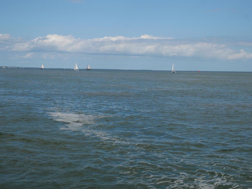 P1071699.JPG