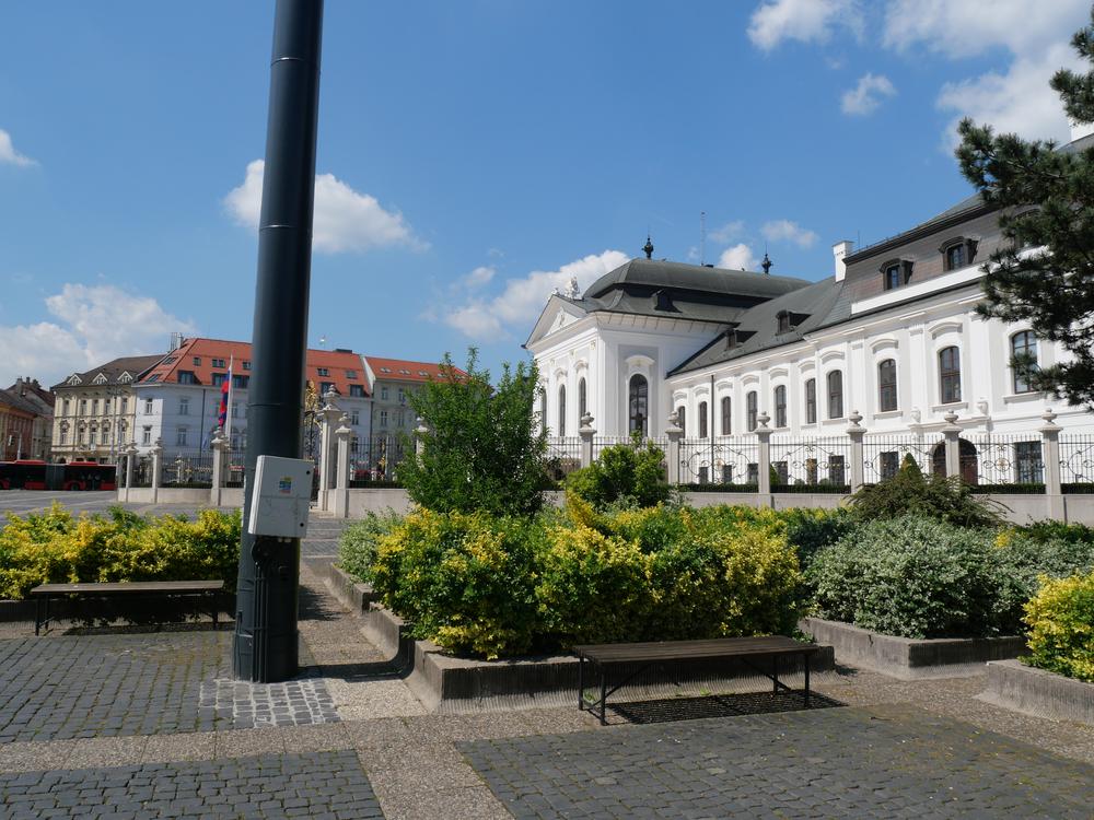 P1025494.JPG