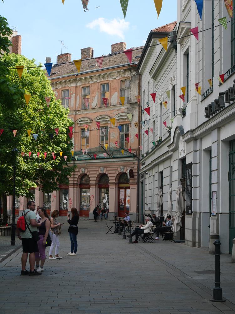 P1025595.JPG