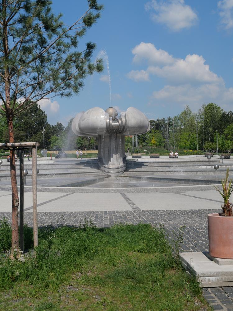 P1025478.JPG
