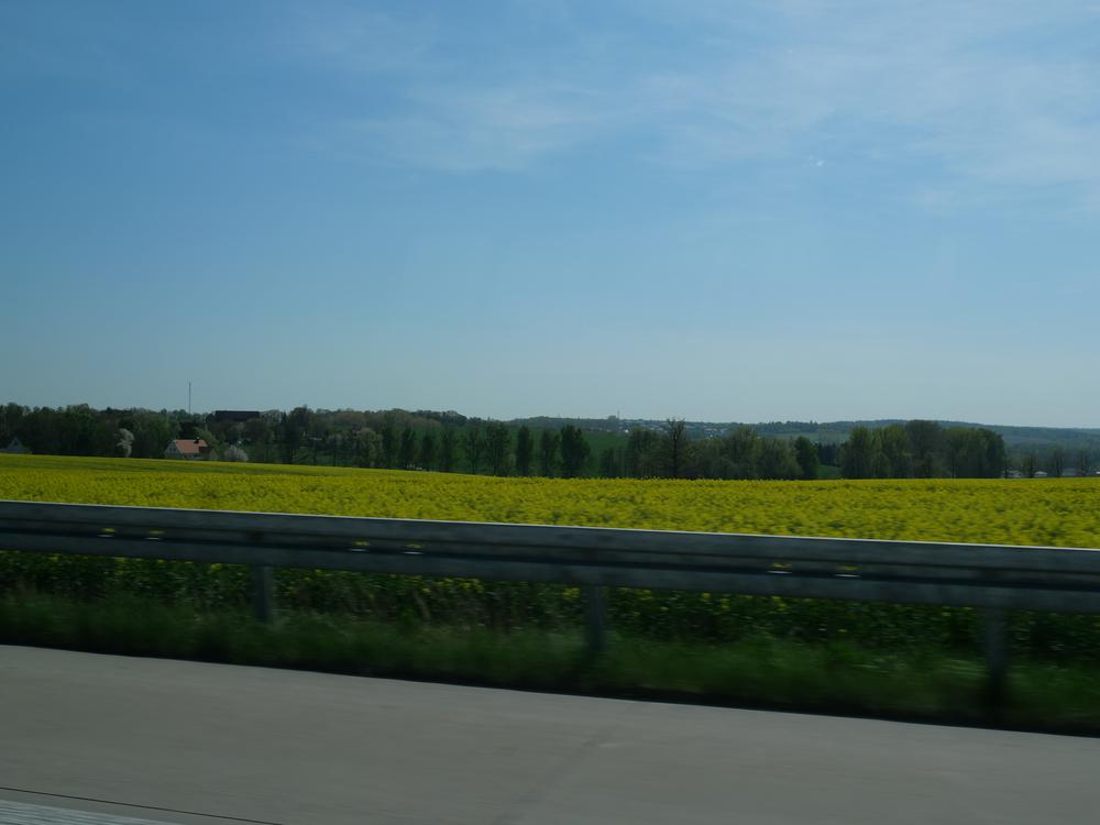 P1025231.JPG