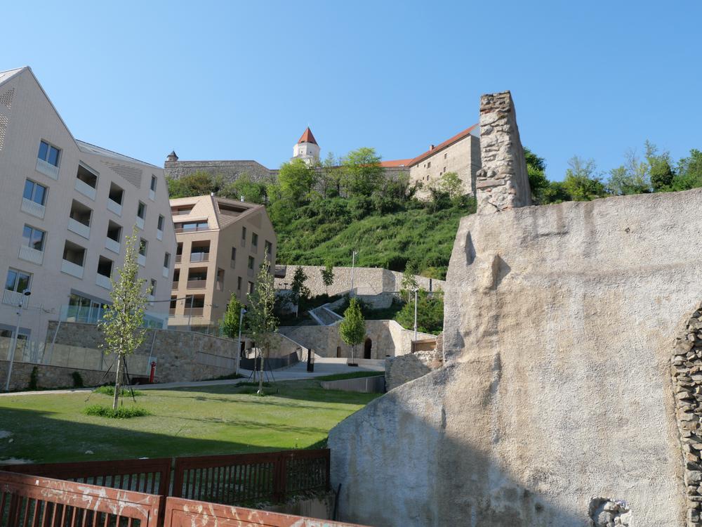 P1026040.JPG