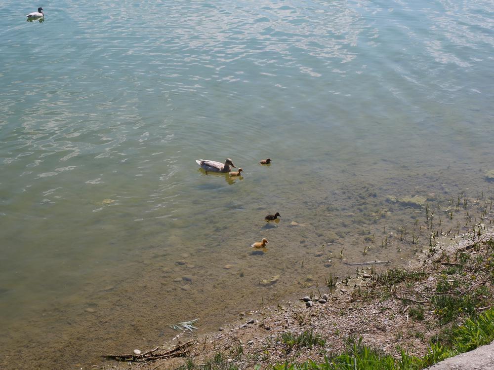 P1026272.JPG