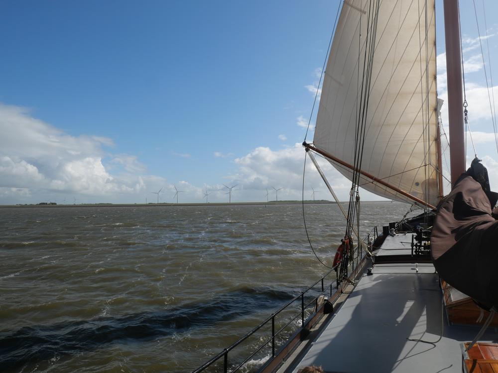 P1071568.JPG