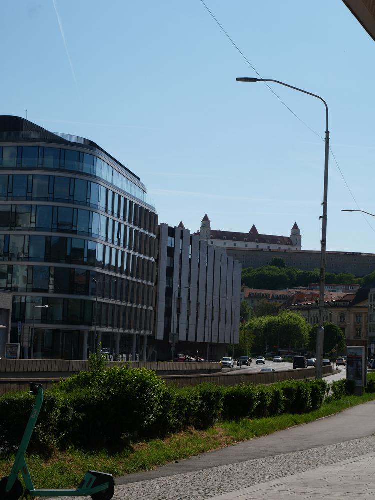 P1025998.JPG