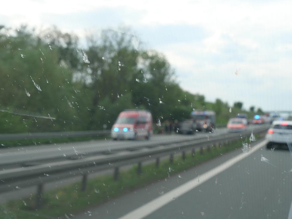 P1036503.JPG
